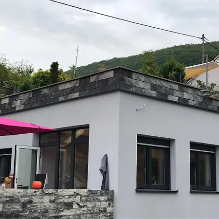 Appartamento Am Weinberg Senheim Esterno foto