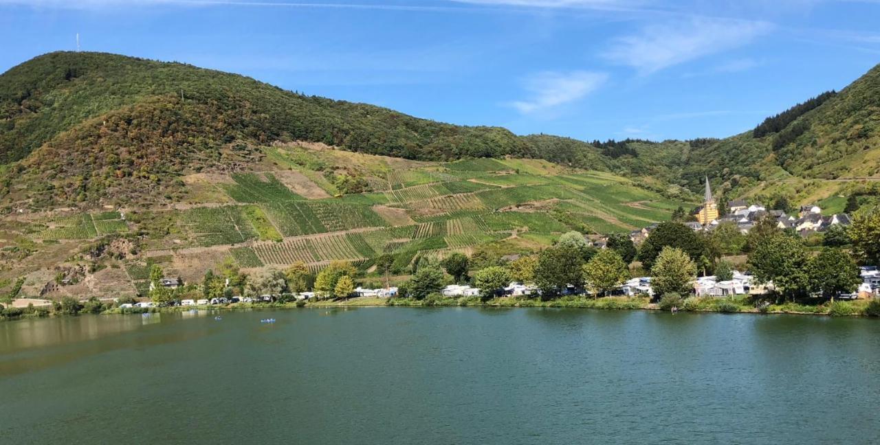 Am Weinberg * Senheim
